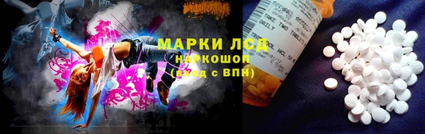 сатива Абаза