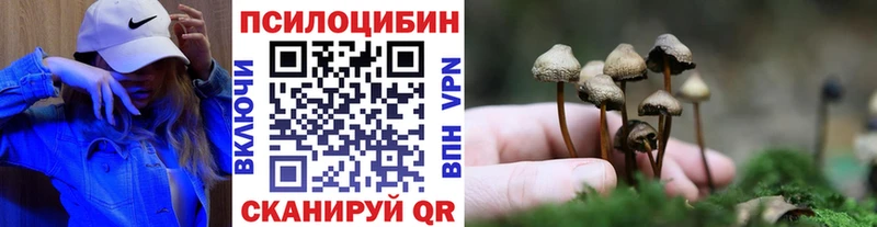 гидра ссылка  Таштагол  Галлюциногенные грибы GOLDEN TEACHER  закладки 